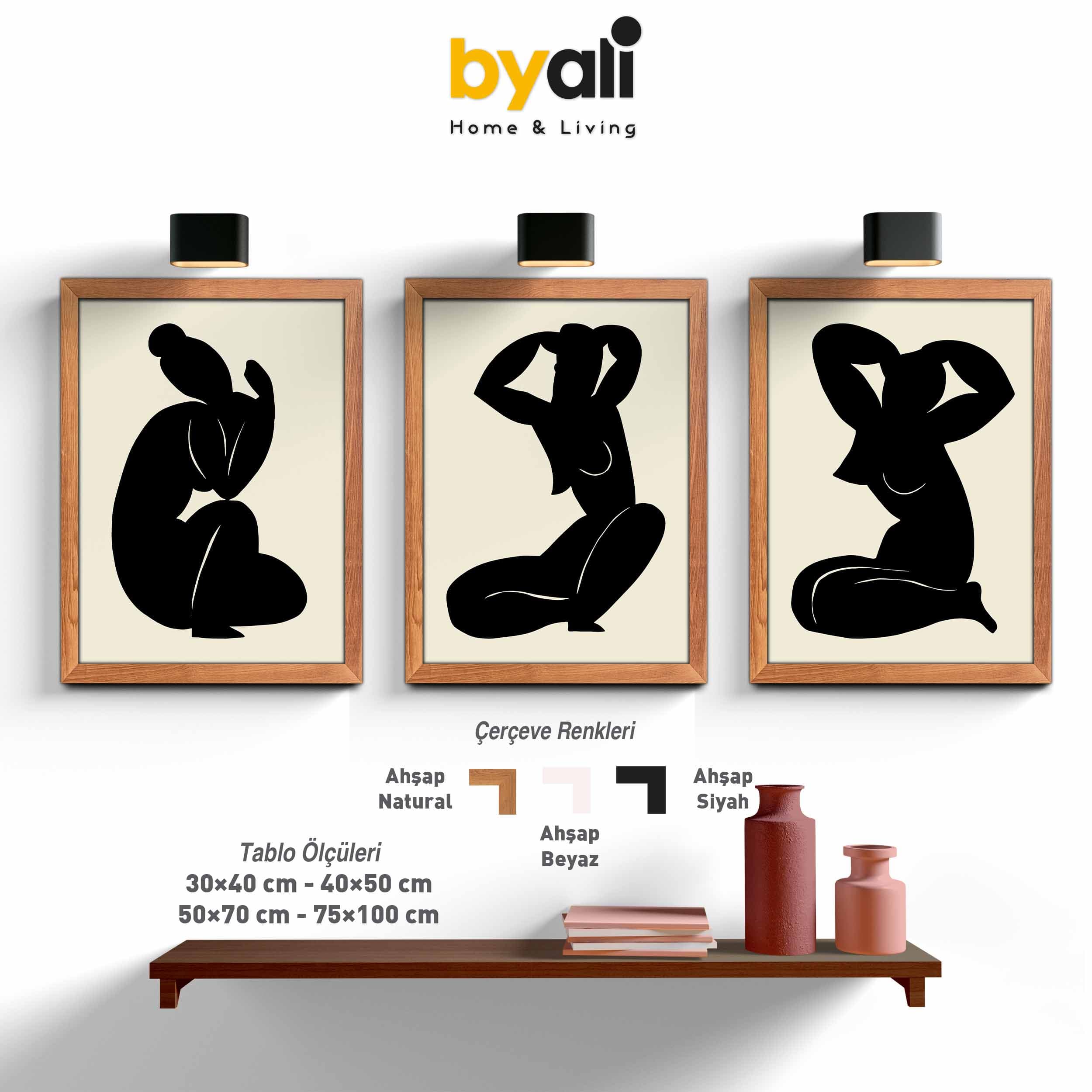 Ahşap Çerçeveli Matisse 3’lü Tablo Seti 3060