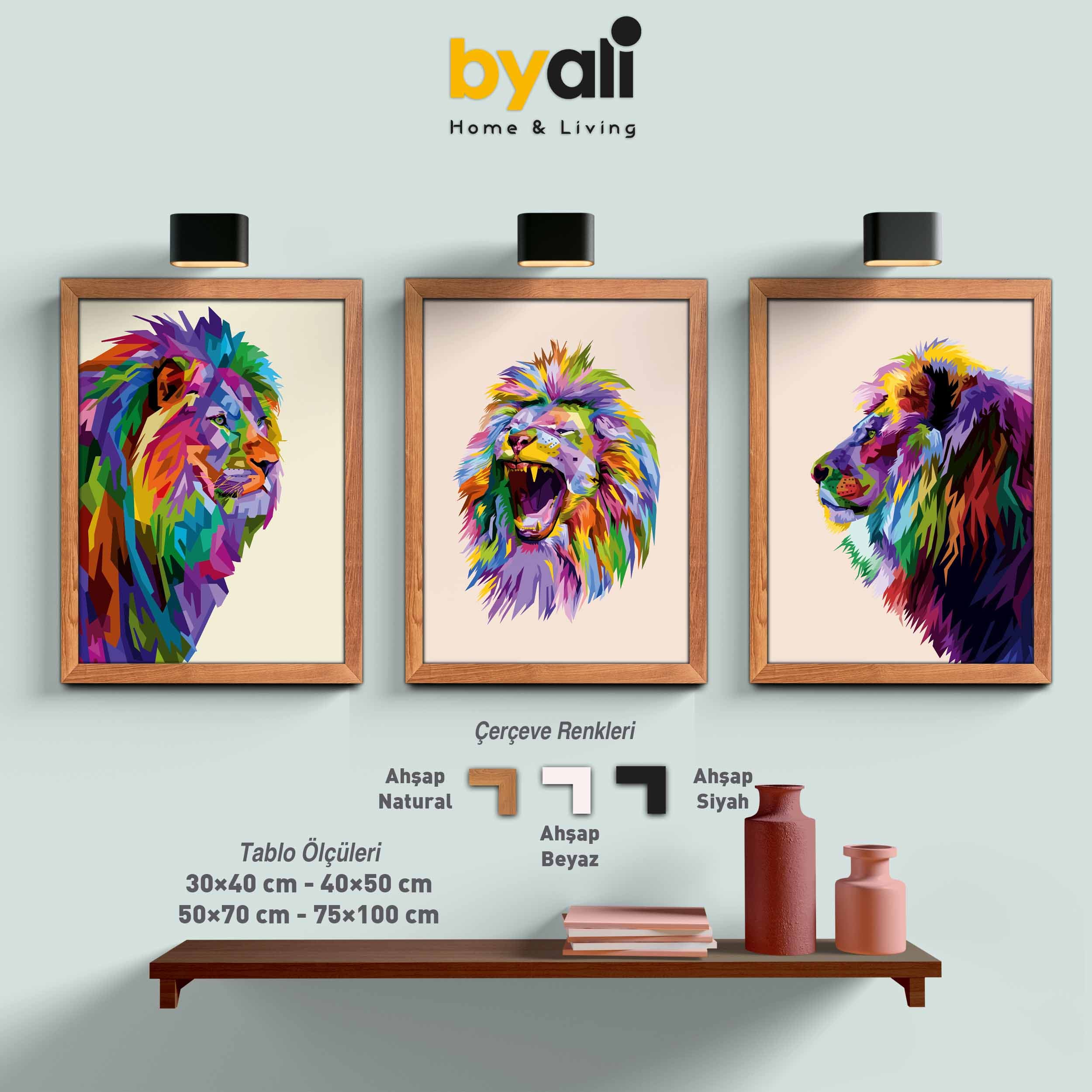 Ahşap Çerçeveli colorful lion head 3’lü Tablo Seti