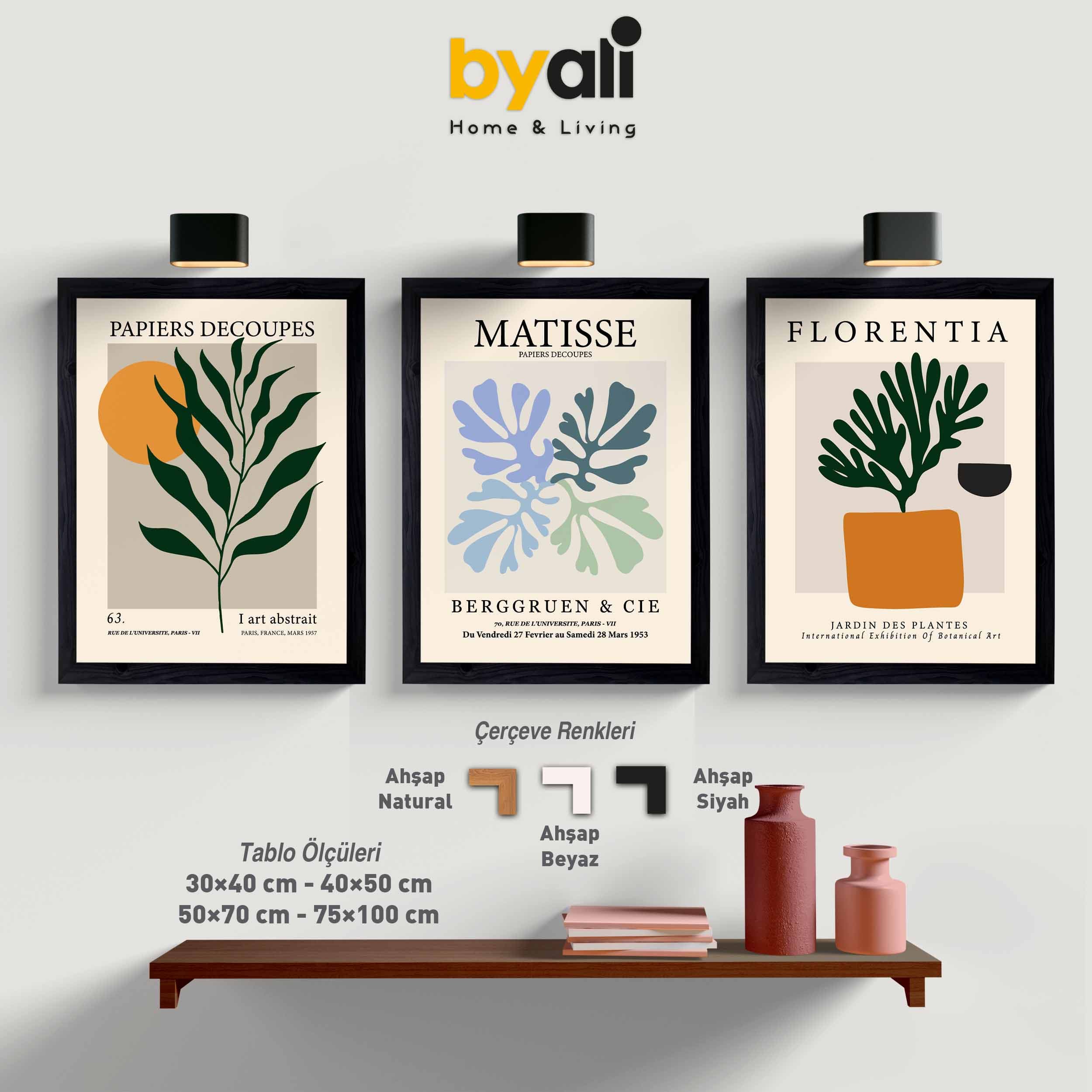 Ahşap Çerçeveli Matisse 3’lü Tablo Seti 3104