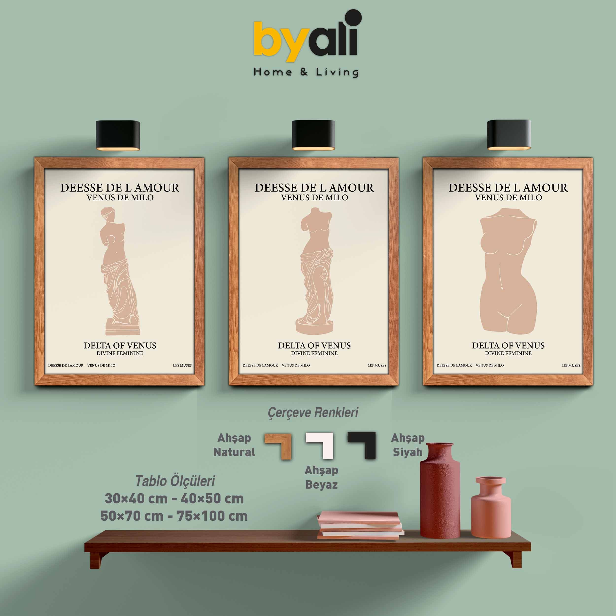 Ahşap Çerçeveli Minimalist 3’lü Tablo Seti 3107