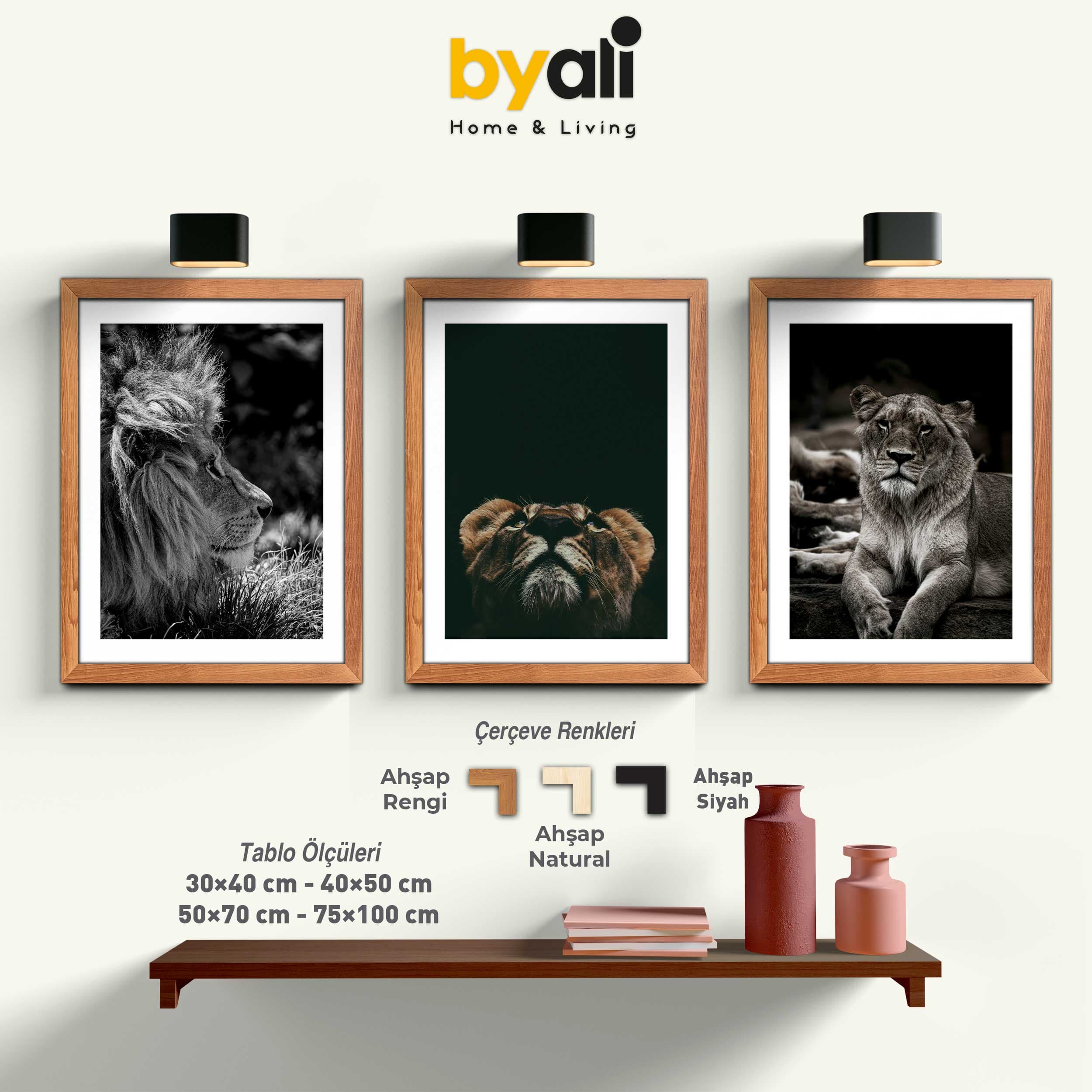 Lion Family 3’lü Tablo Seti